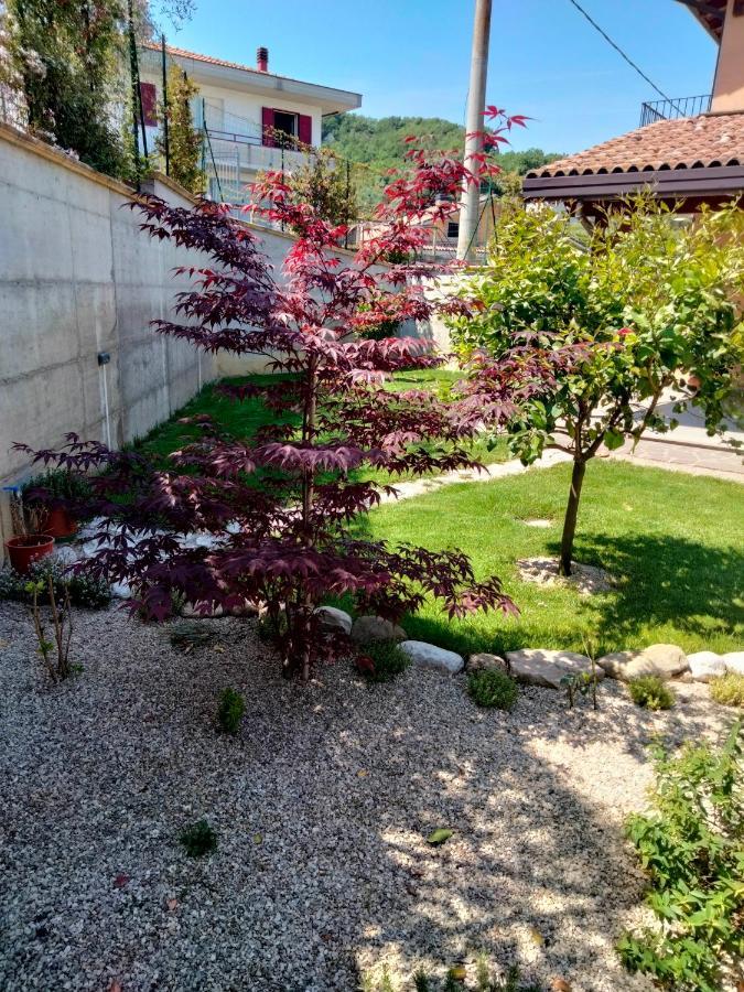 B&B La Casa Di Giuliana Cermignano Exterior photo